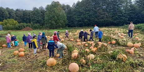 Dyniowe zabawy w agroturystyce "Rajskie Łąki"