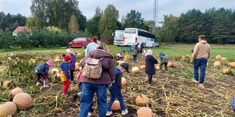 Powiększ grafikę: Grupa 'Wiewiórki" zbiera najciekawsze dynie