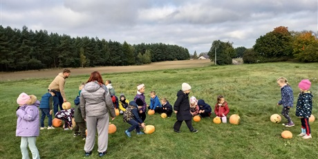 Powiększ grafikę: Przygotowania do konkursu z toczeniem dyni