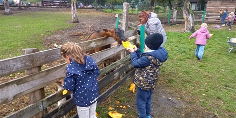 Powiększ grafikę: Dzieci z grupy "Wiewiórki" karmią dynią osiołki