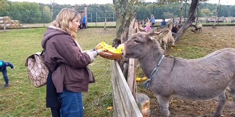 Powiększ grafikę: Mama Jakuba karmi osiołka