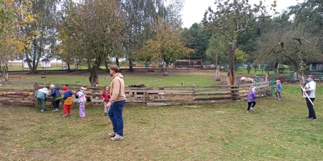 Powiększ grafikę: Karmienie zwierząt dynią