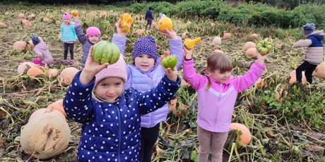 Powiększ grafikę: Piękne dynie nazbierane przez dzieci z Grupy II