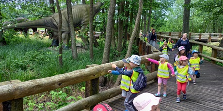 Powiększ grafikę: Przedszkolaki na ścieżce dinozaurów