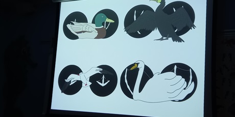 Powiększ grafikę: Poznajemy ptactwo nadmorskie