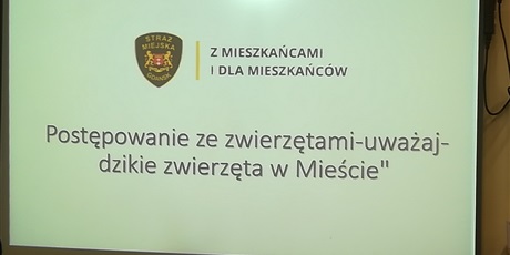 Powiększ grafikę: Prezentacja multimedialna dla dzieci